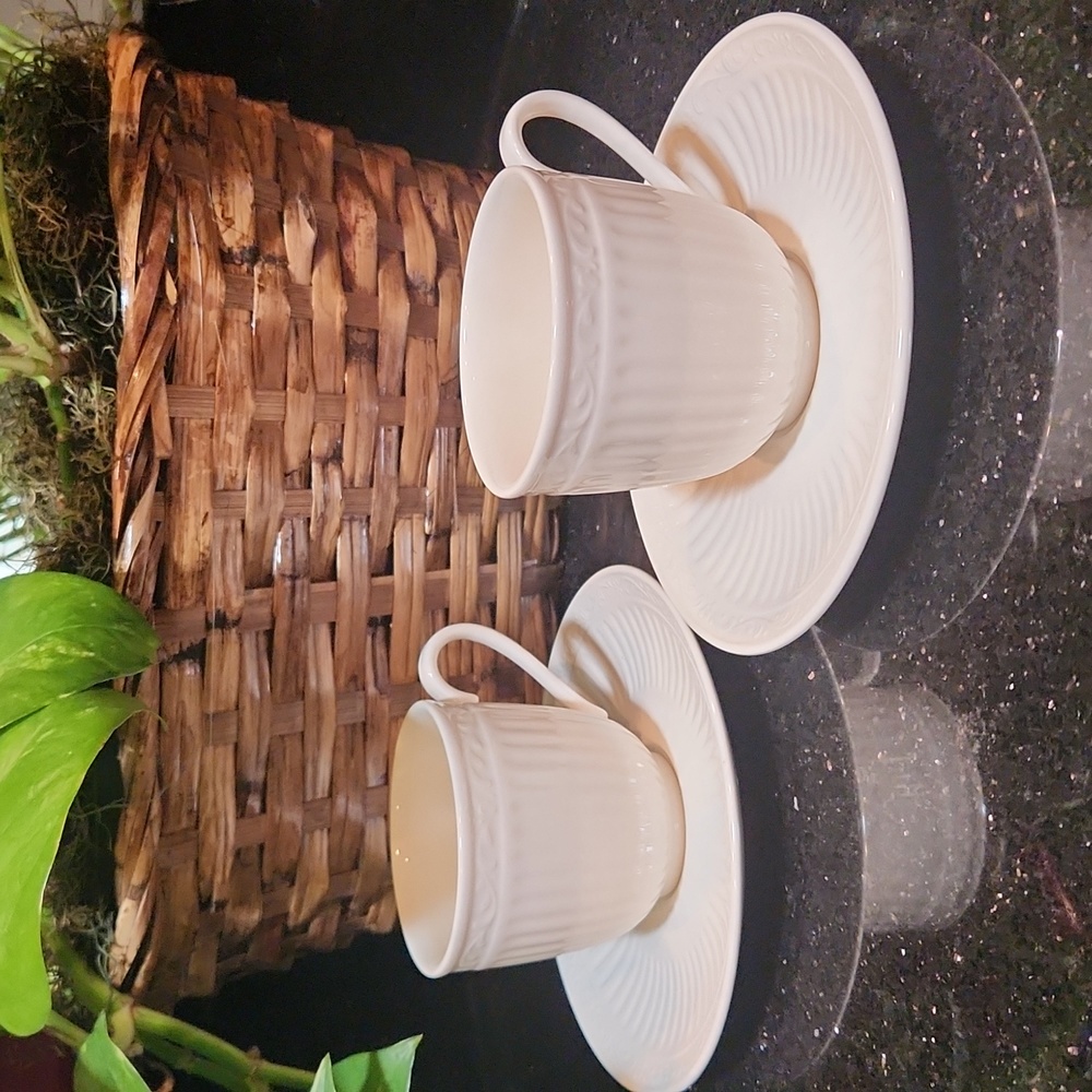 Set of 2 - Mikasa Italian Countryside cup and saucer, like new